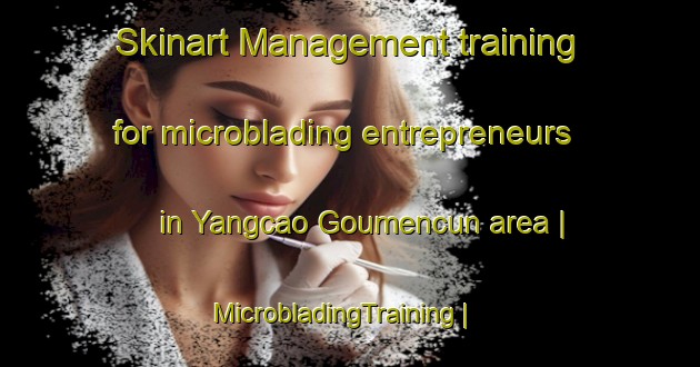 Skinart Management training for microblading entrepreneurs in Yangcao Goumencun area | MicrobladingTraining | MicrobladingClasses | SkinartTraining-China